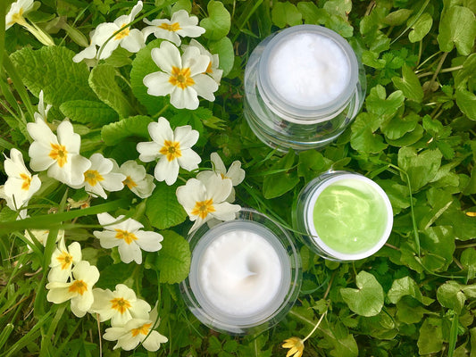 7 Top Benefits of Centella Asiatica on Skin