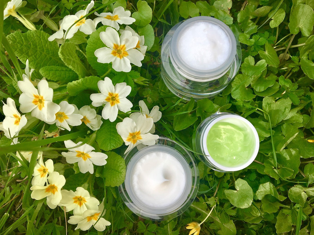 7 Top Benefits of Centella Asiatica on Skin